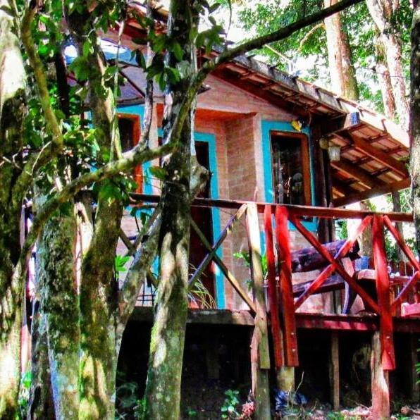 Casa Aconchegante Na Serra. Santo Antônio do Pinhal المظهر الخارجي الصورة