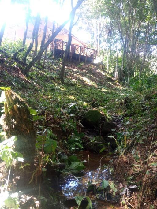 Casa Aconchegante Na Serra. Santo Antônio do Pinhal المظهر الخارجي الصورة